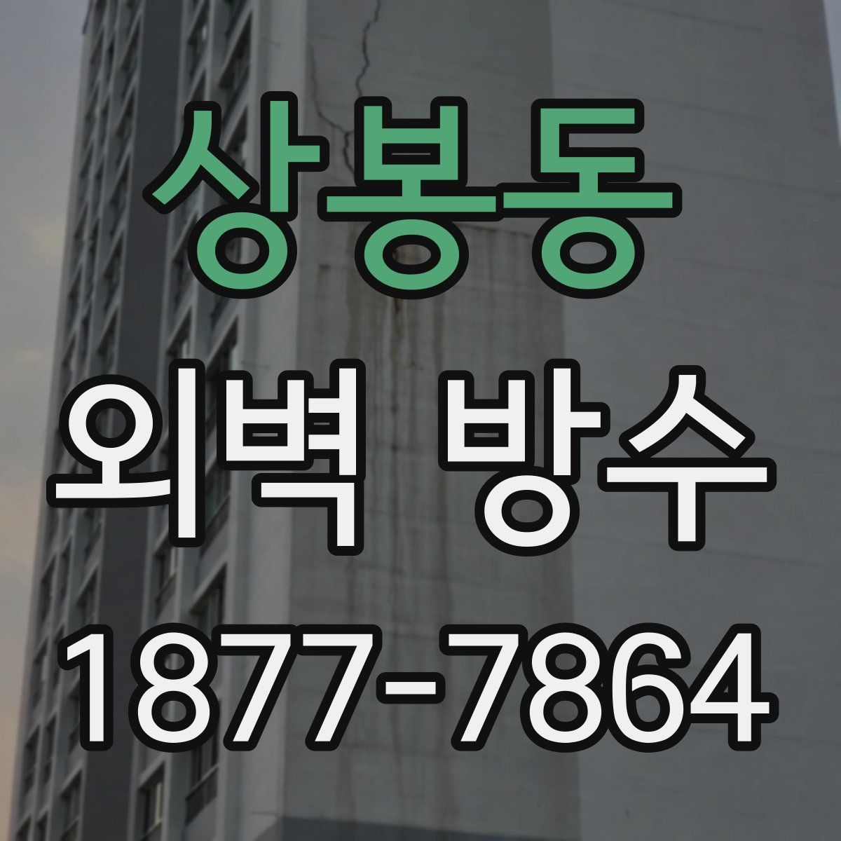 상봉동 외벽 방수