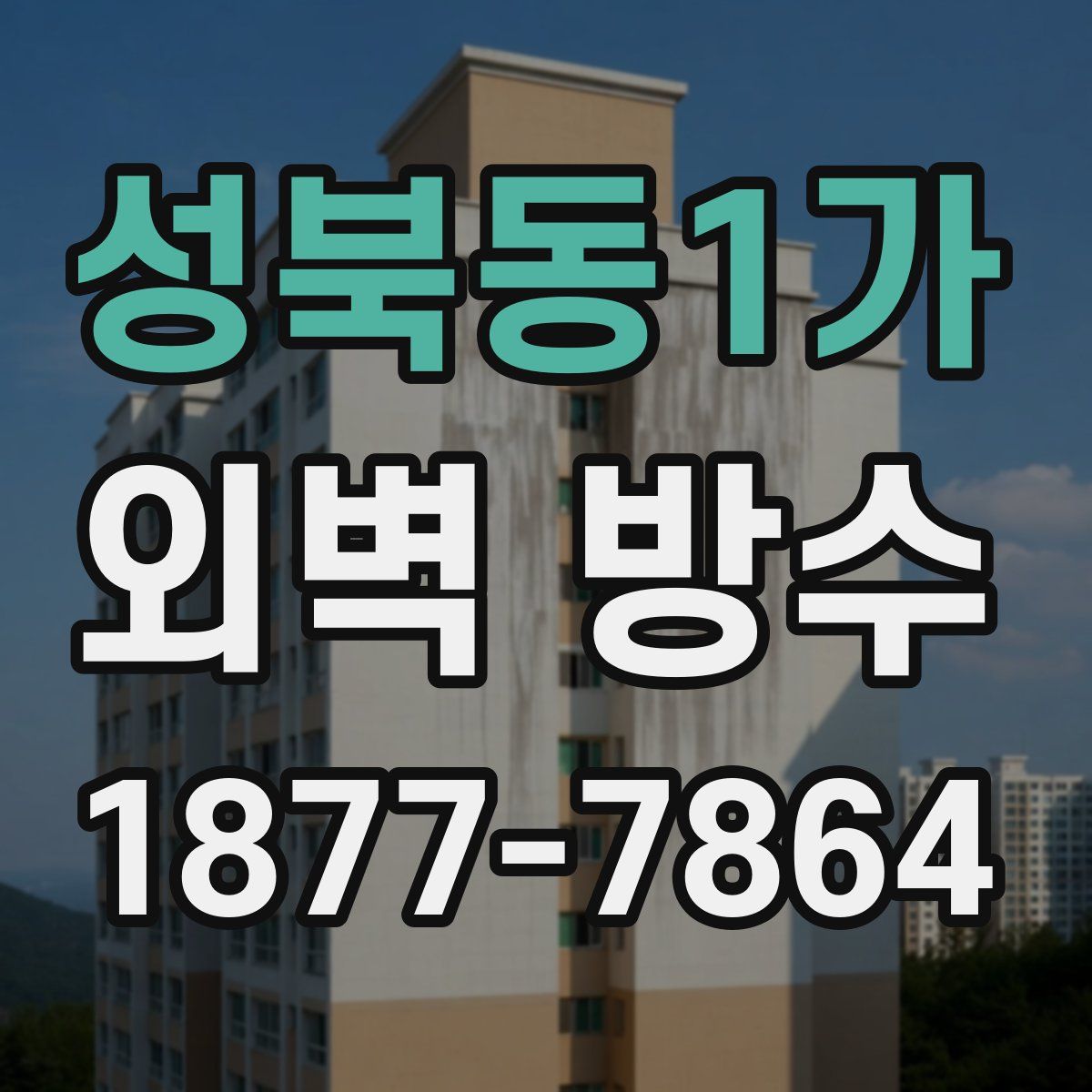 성북동1가 외벽 방수