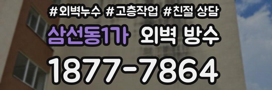 삼선동1가 외벽 방수