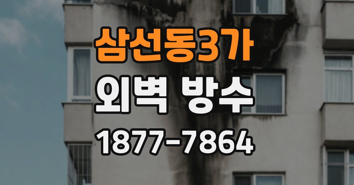 삼선동3가 외벽 방수