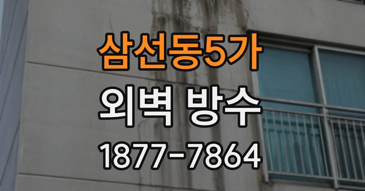 삼선동5가 외벽 방수