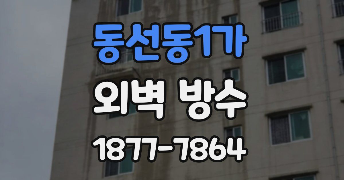 동선동1가 외벽 방수