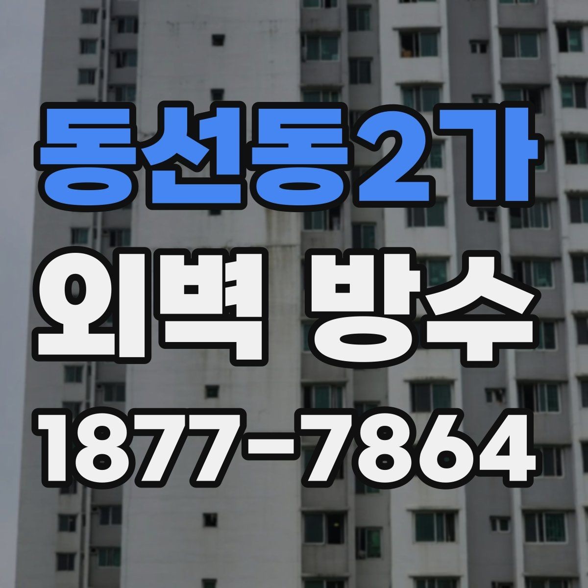 동선동2가 외벽 방수 누수 원인과 대응 방법