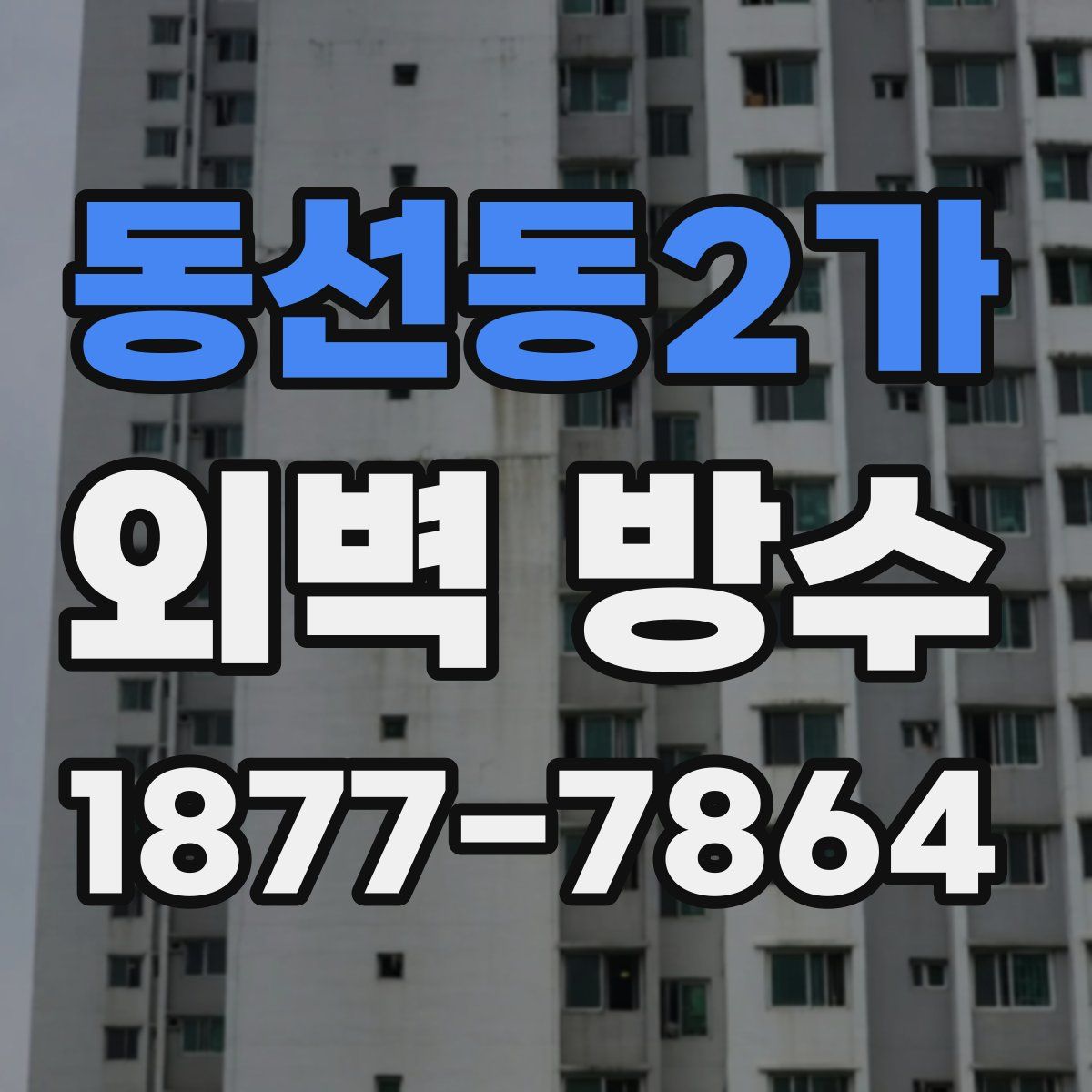 동선동2가 외벽 방수