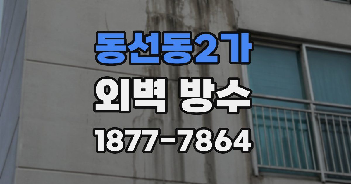 동선동2가 외벽 방수
