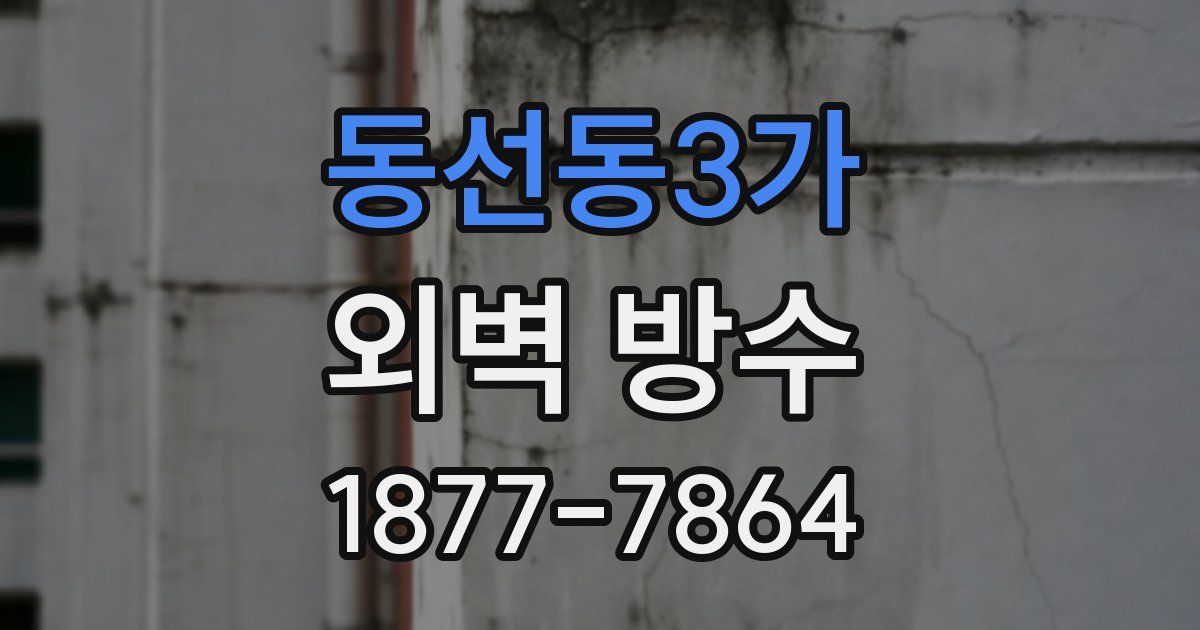 동선동3가 외벽 방수