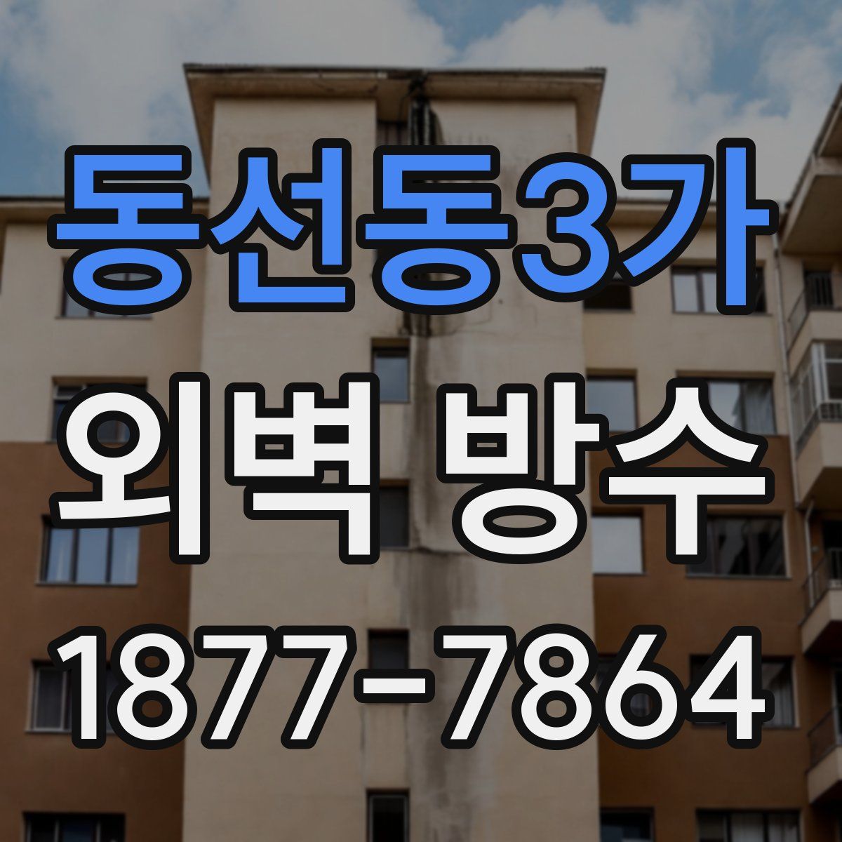 동선동3가 외벽 방수