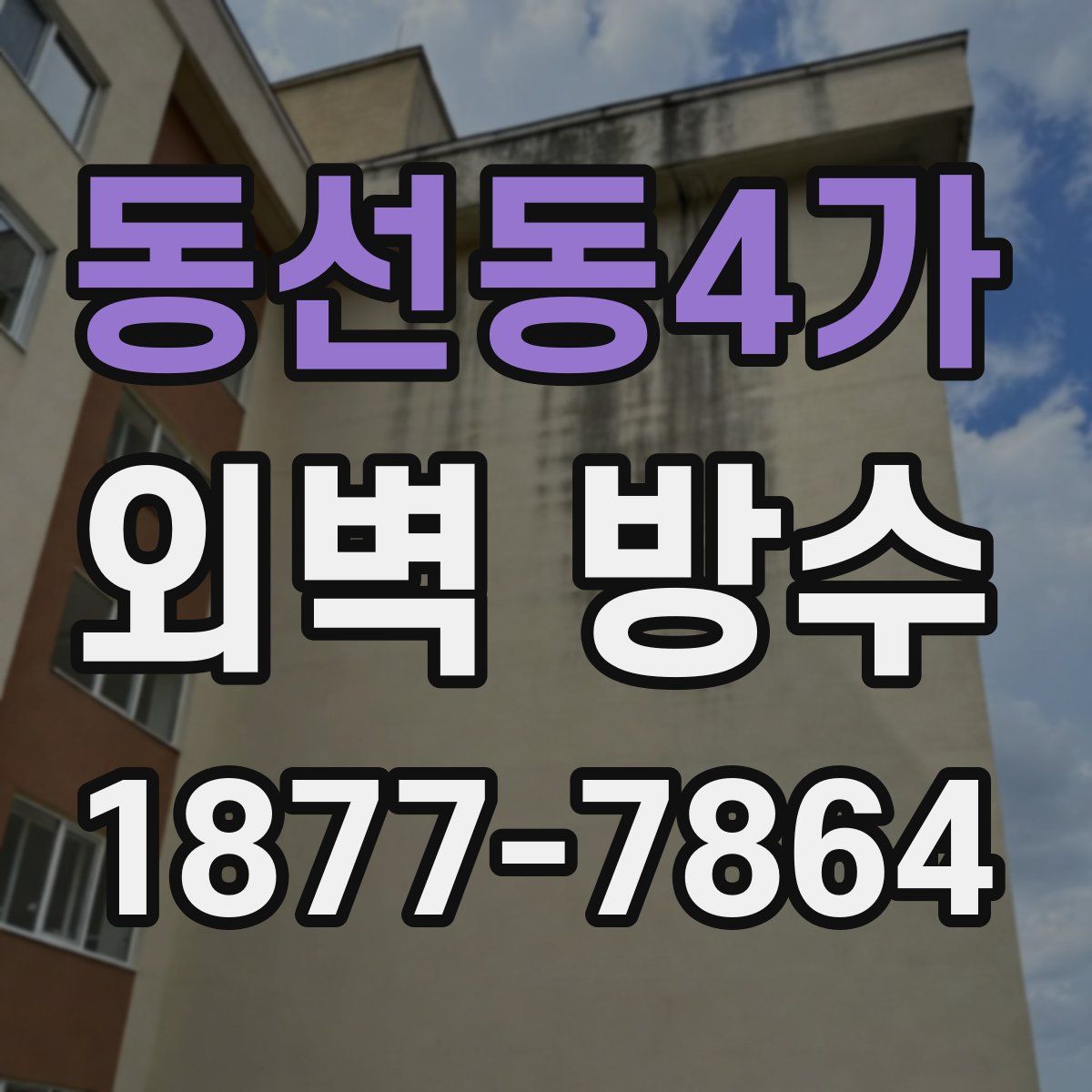 동선동4가 외벽 방수