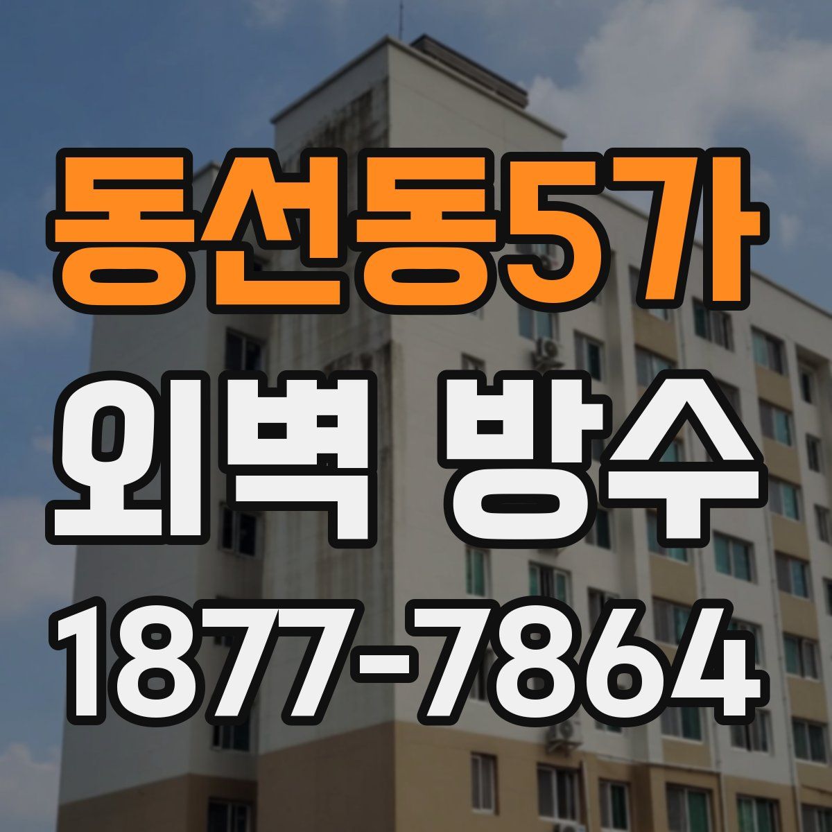 동선동5가 외벽 방수