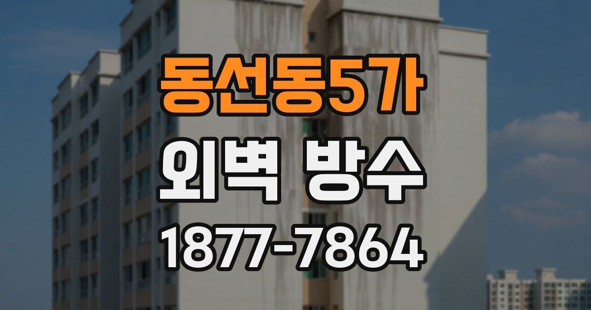 동선동5가 외벽 방수