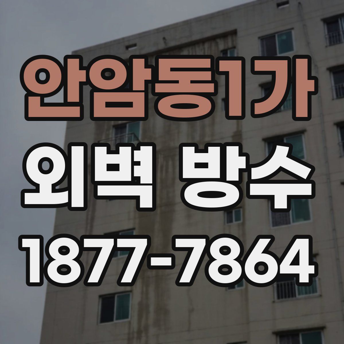 안암동1가 외벽 방수