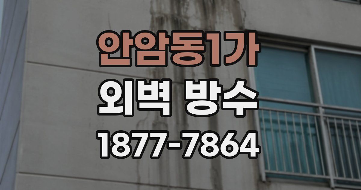 안암동1가 외벽 방수