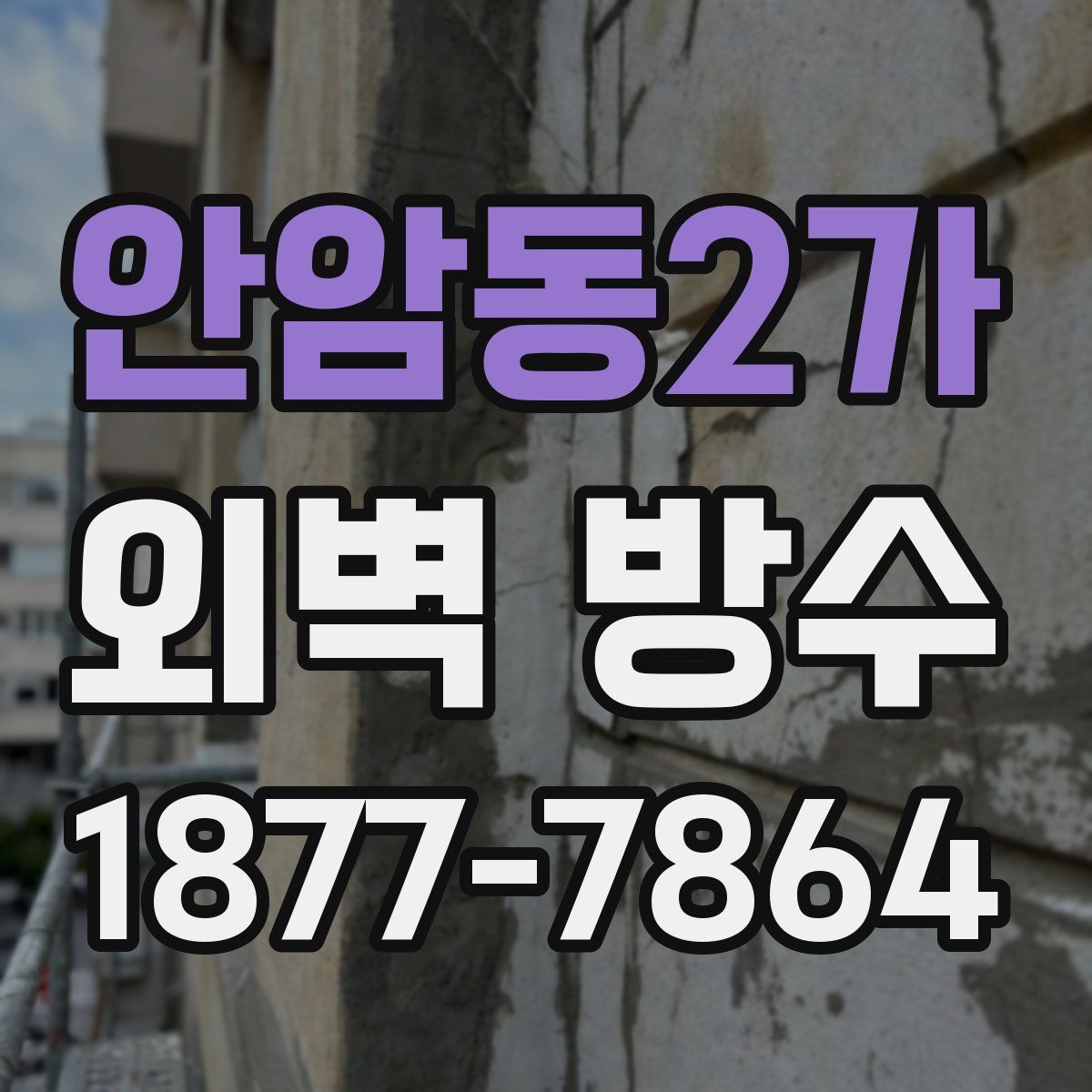 안암동2가 외벽 방수