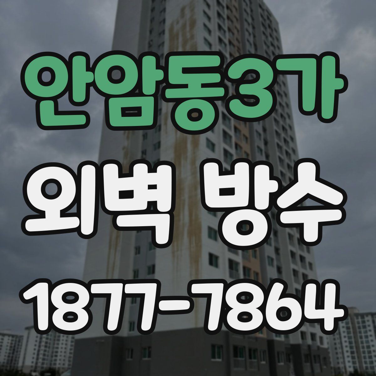 안암동3가 외벽 방수