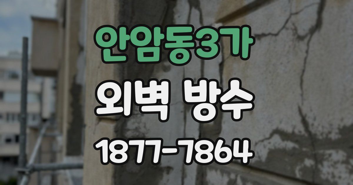 안암동3가 외벽 방수
