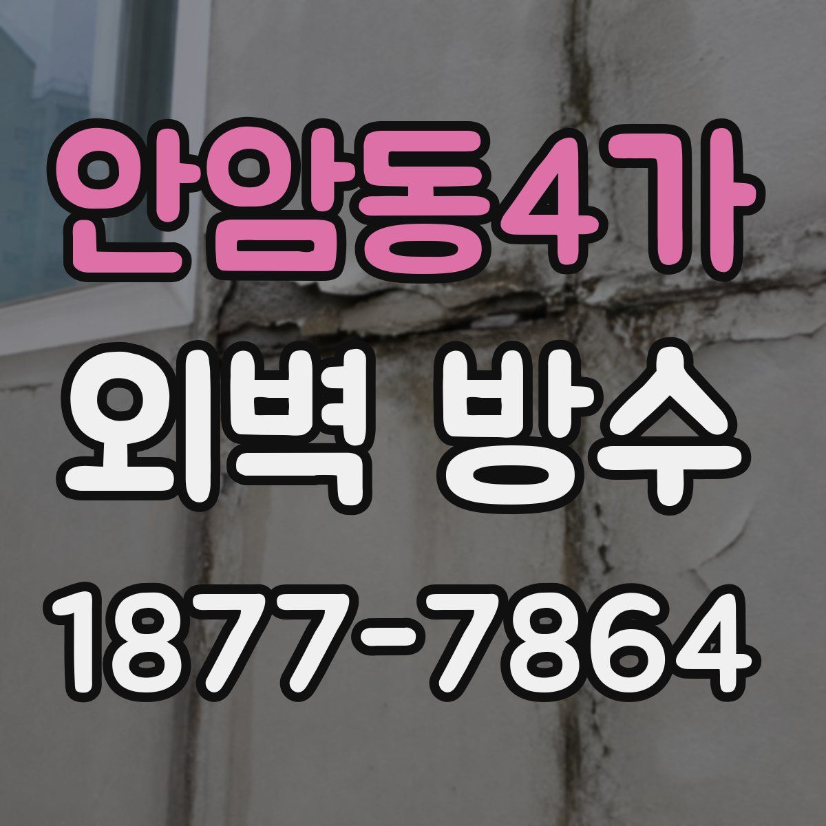 안암동4가 외벽 방수