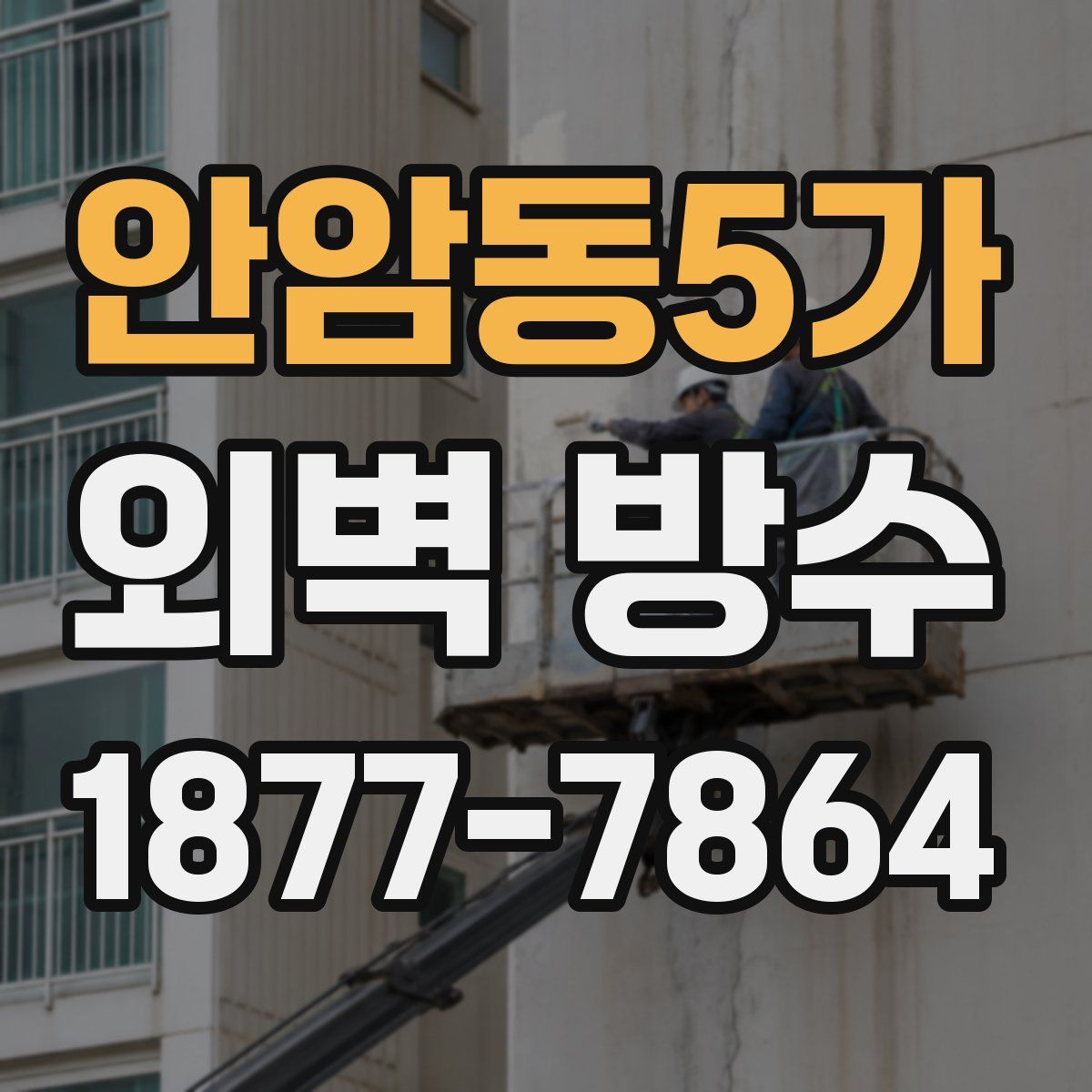 안암동5가 외벽 방수