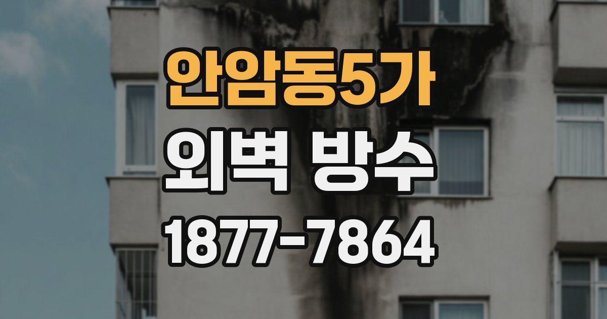 안암동5가 외벽 방수