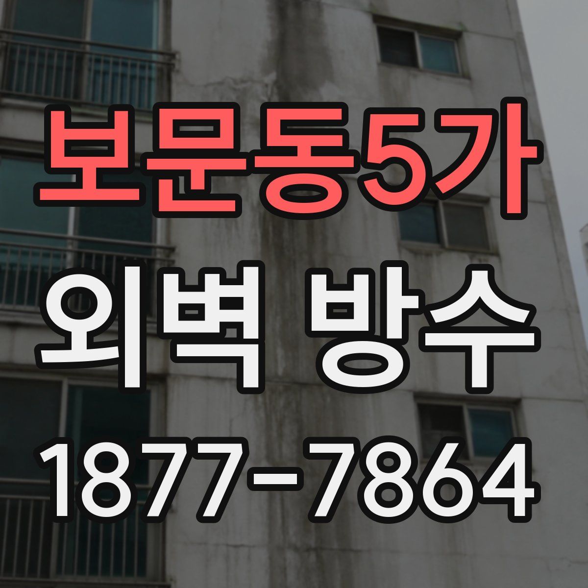 보문동5가 외벽 방수