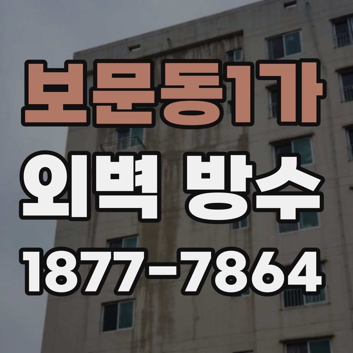 보문동1가 외벽 방수