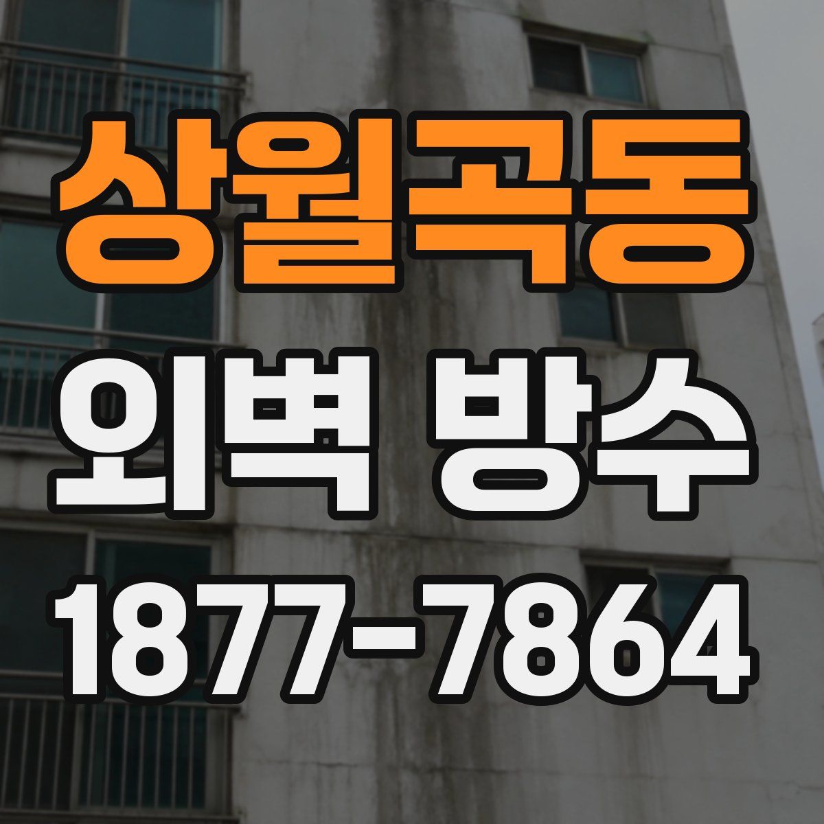 상월곡동 외벽 방수
