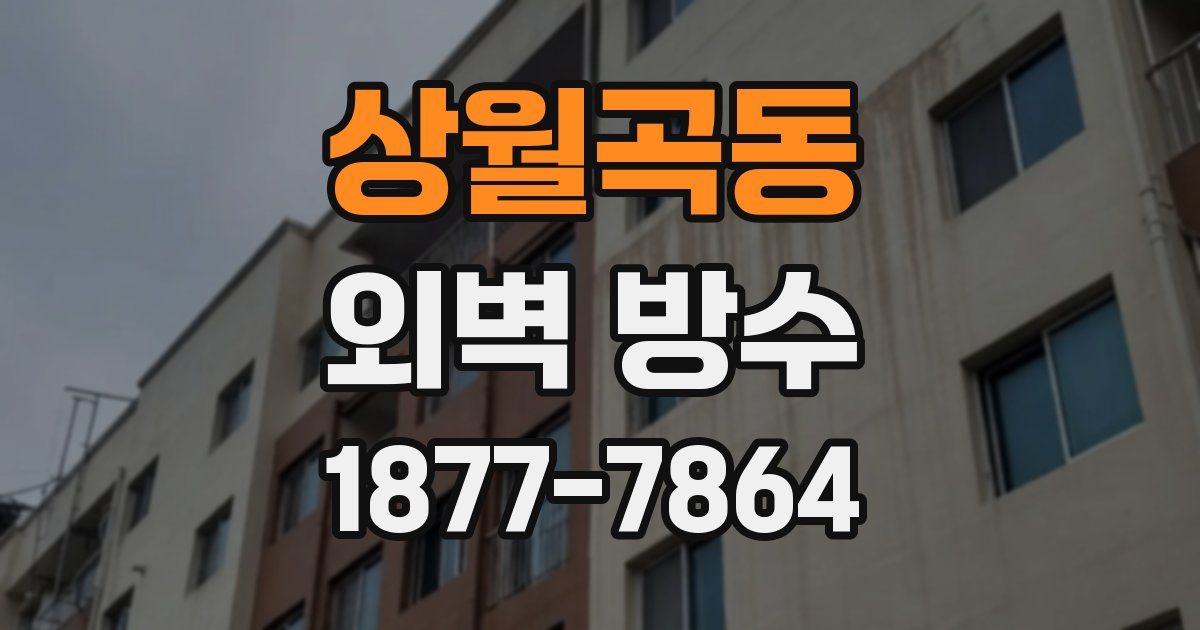상월곡동 외벽 방수