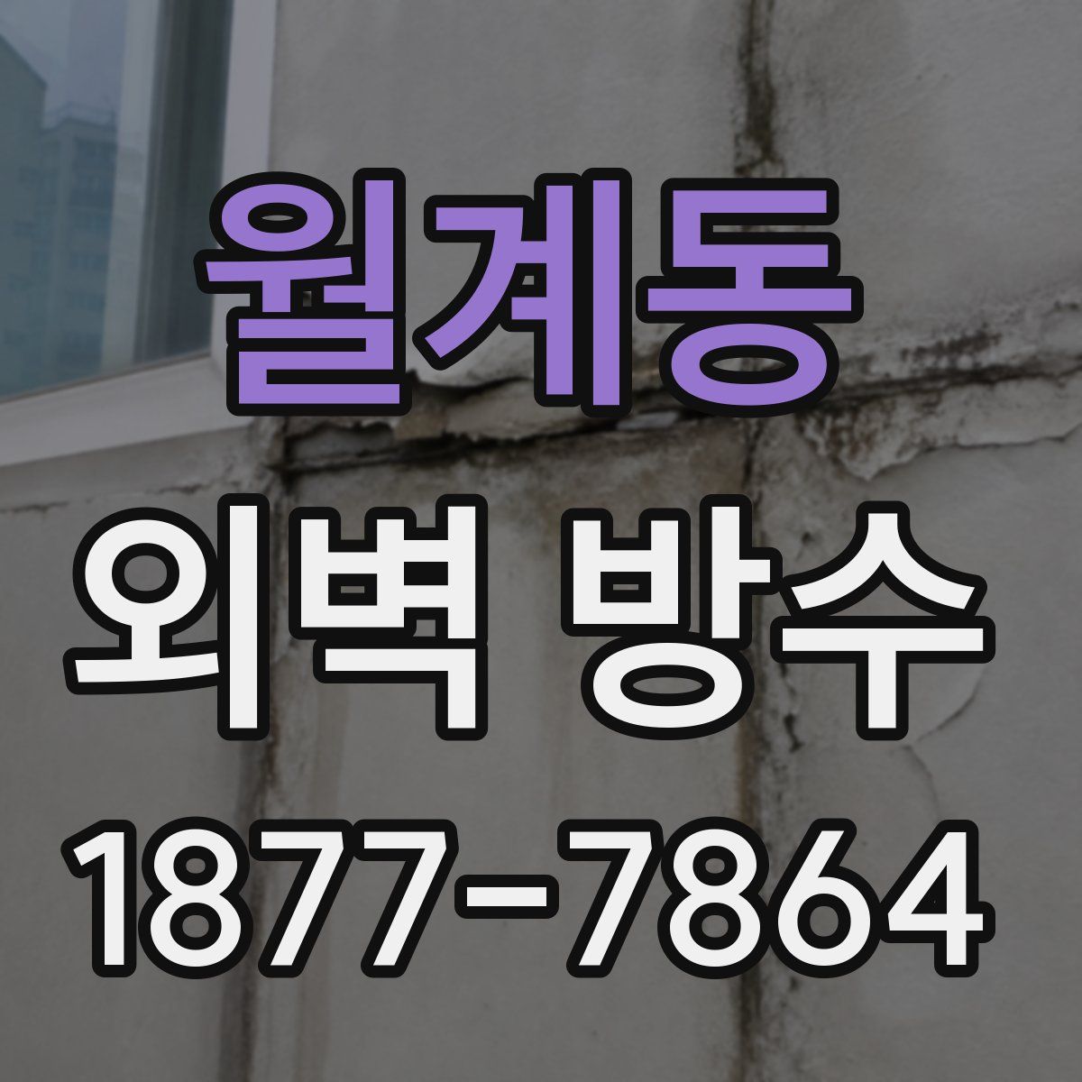 월계동 외벽 방수