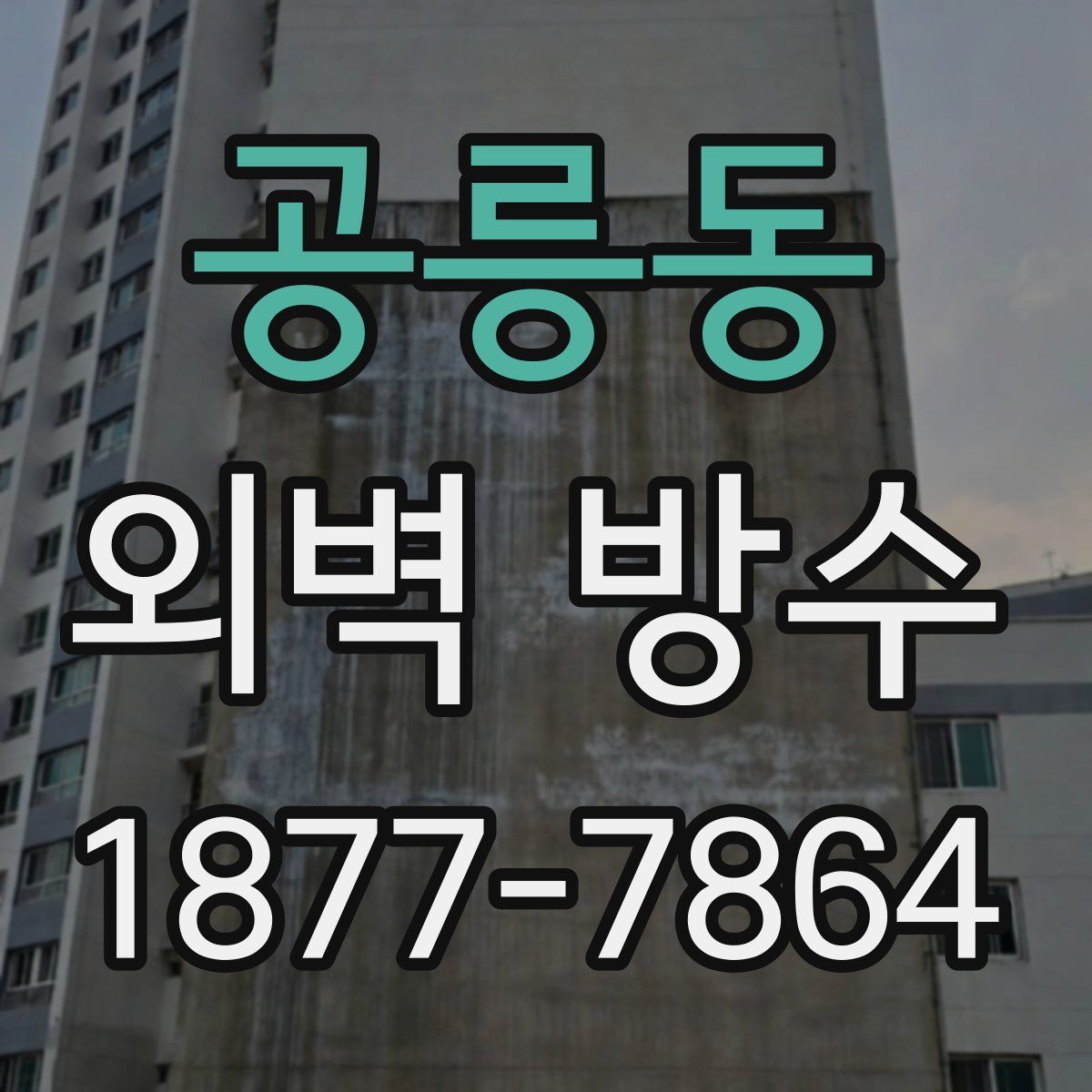 공릉동 외벽 방수