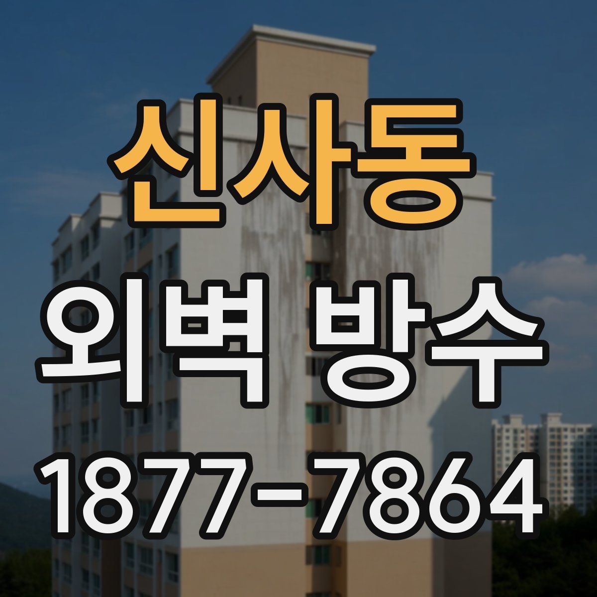 신사동 외벽 방수