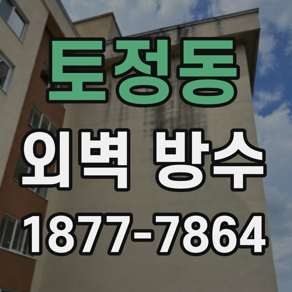 토정동 외벽 방수