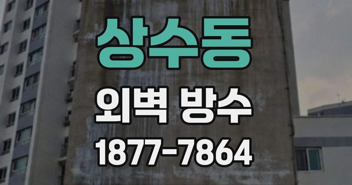 상수동 외벽 방수