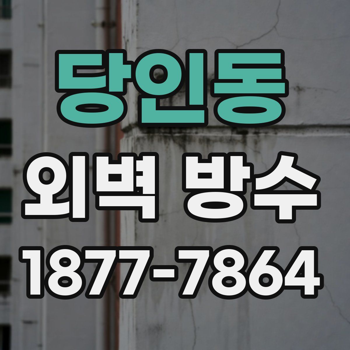 당인동 외벽 방수