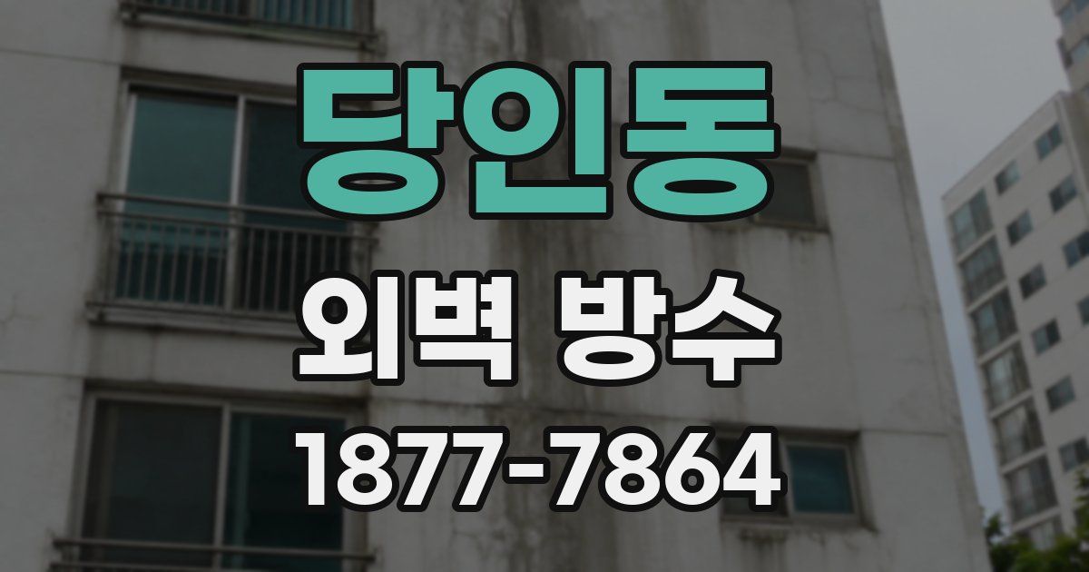 당인동 외벽 방수