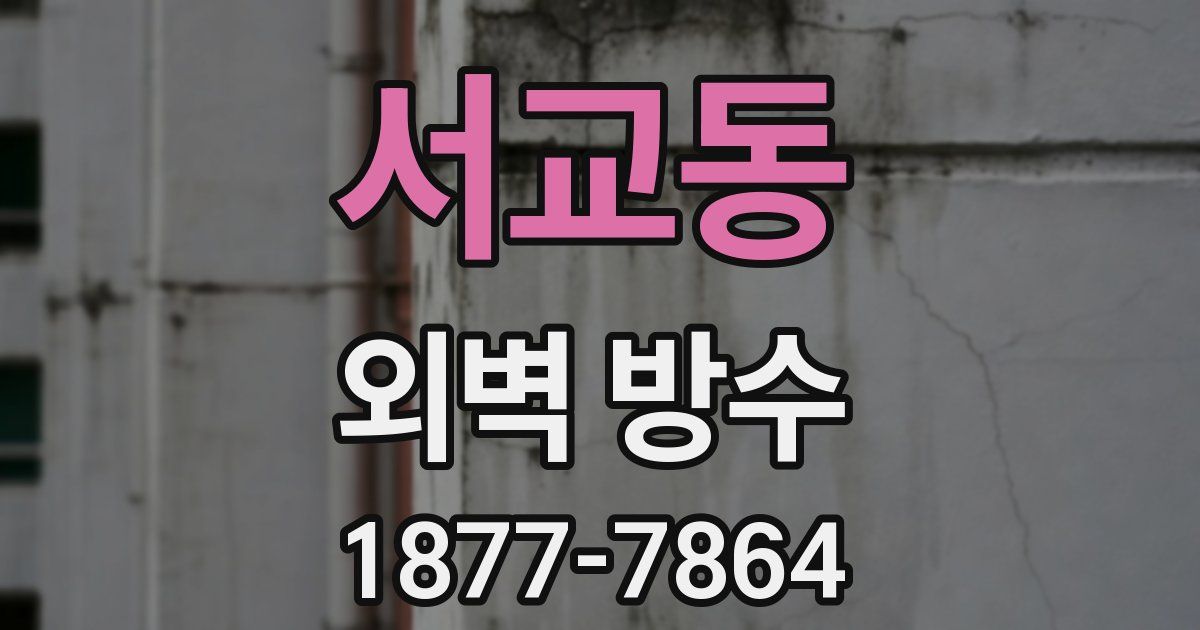 서교동 외벽 방수