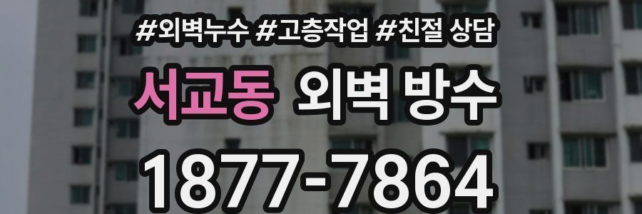 서교동 외벽 방수