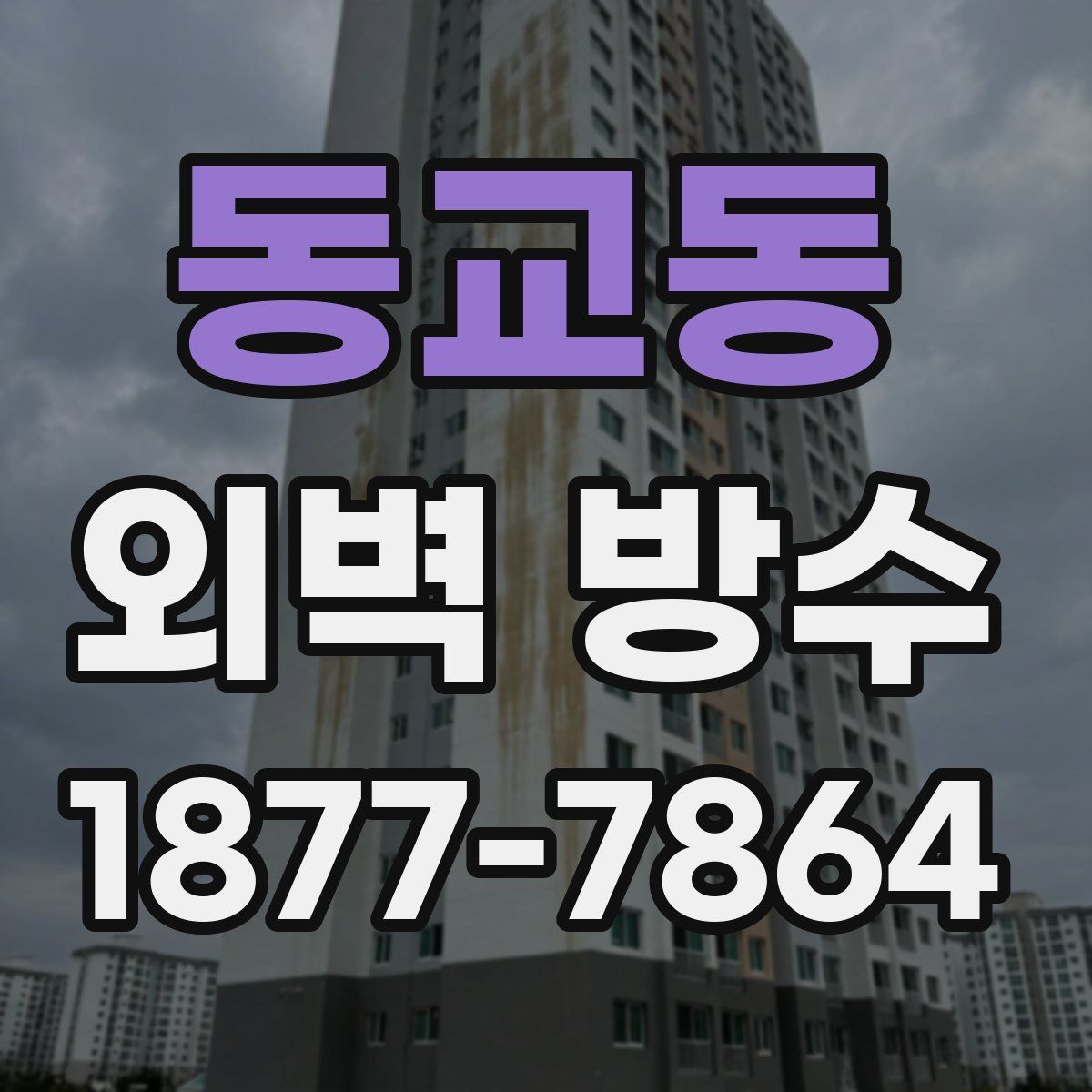 동교동 외벽 방수