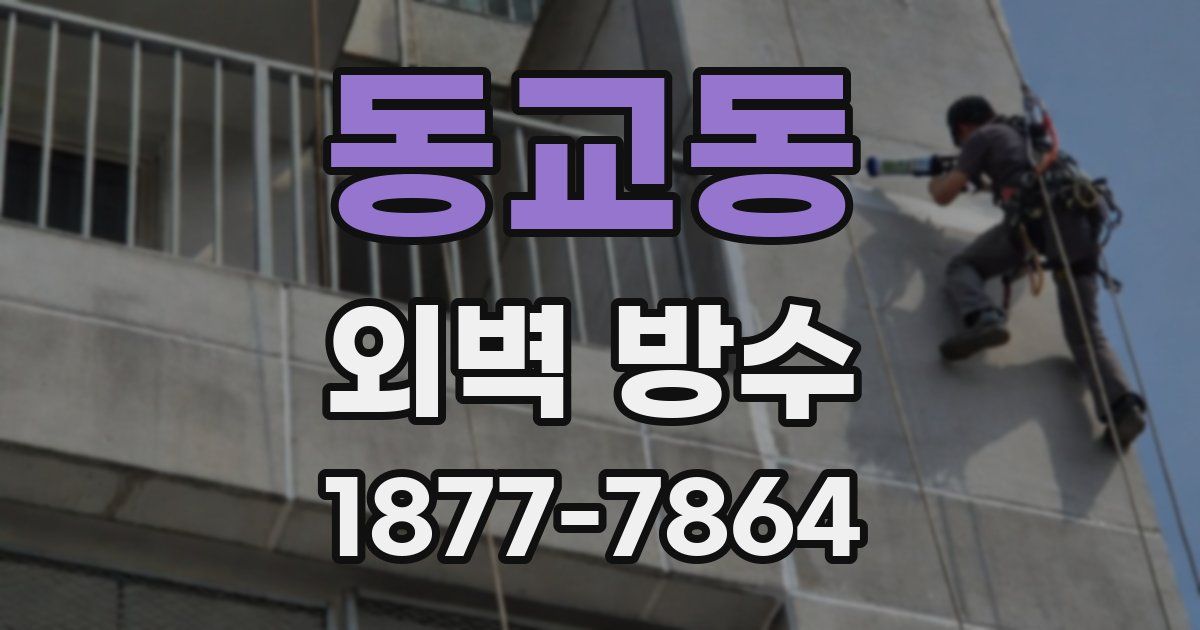 동교동 외벽 방수