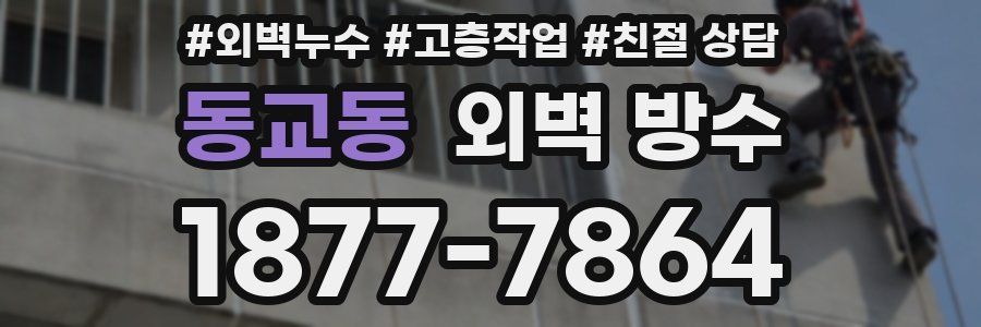 동교동 외벽 방수