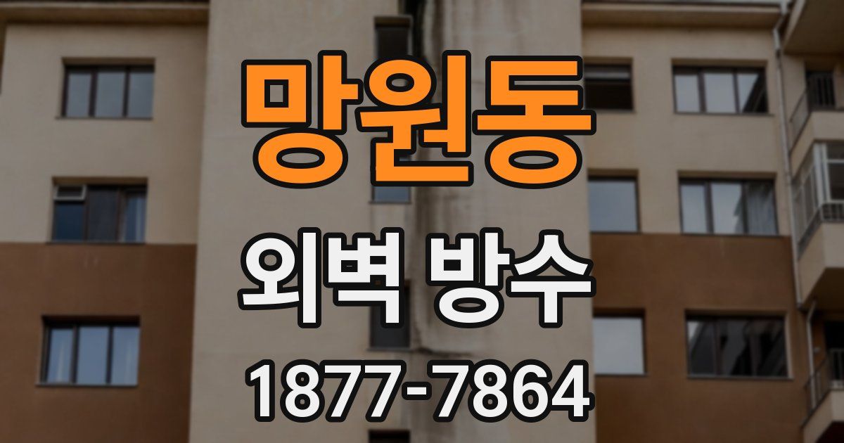 망원동 외벽 방수