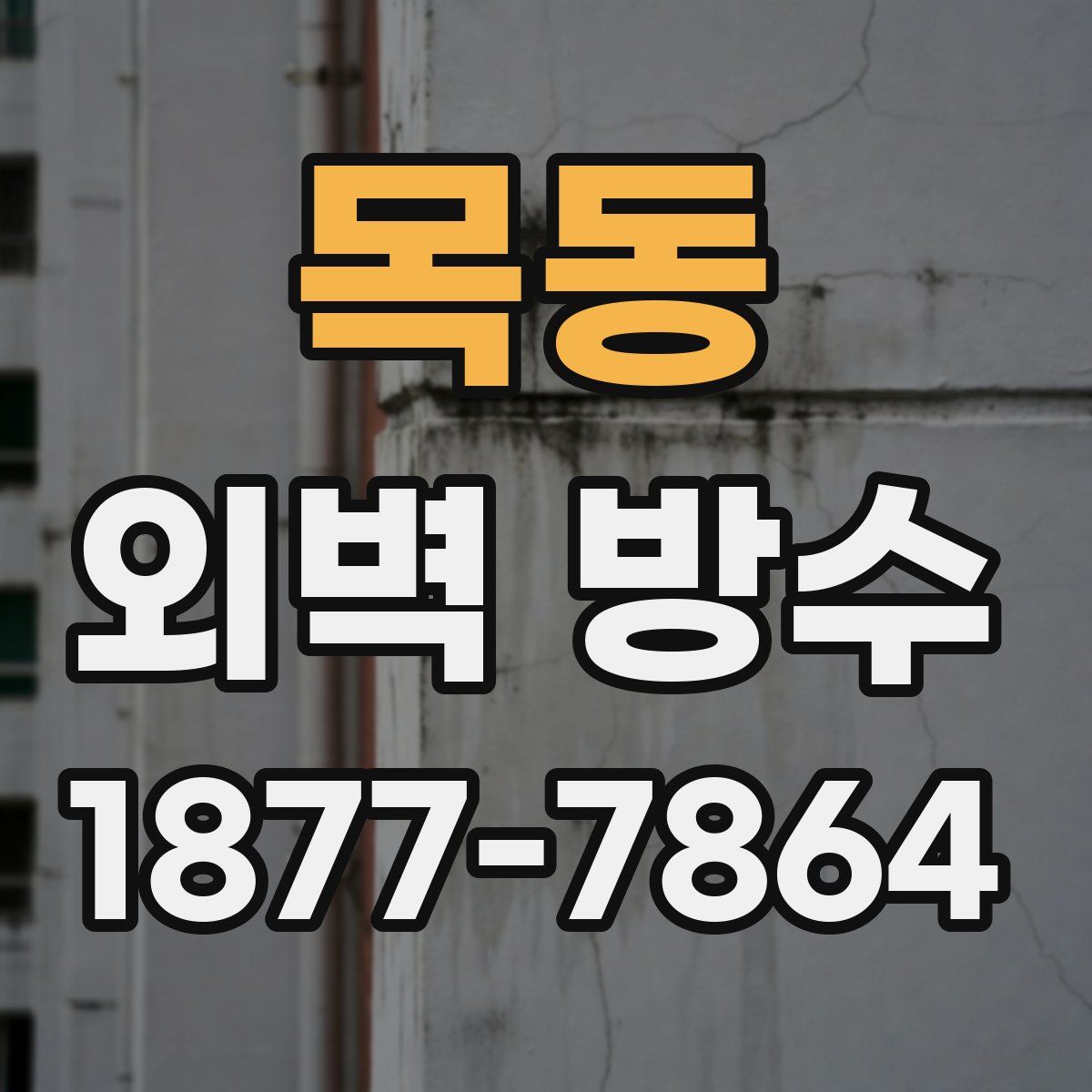 목동 외벽 방수