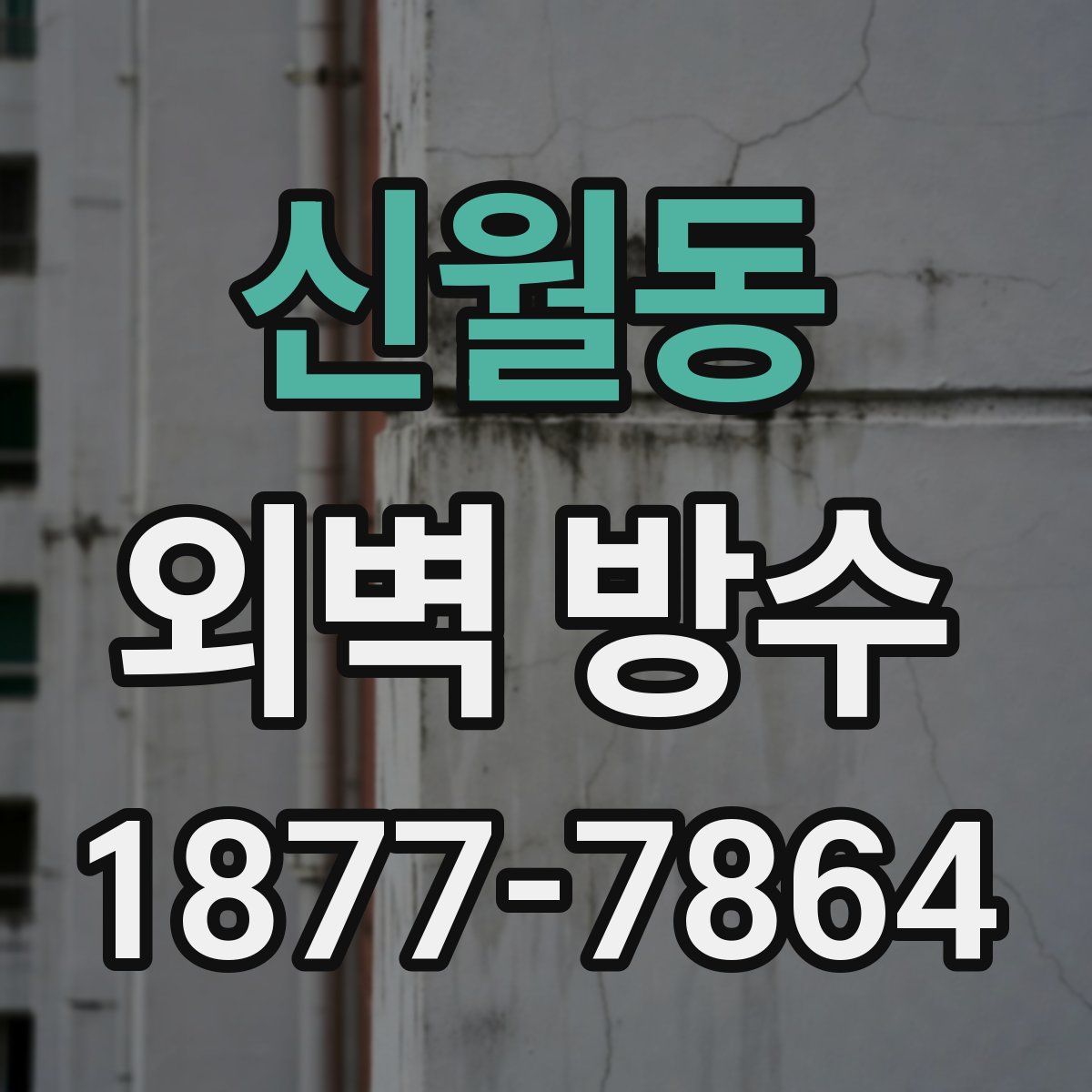 신월동 외벽 방수
