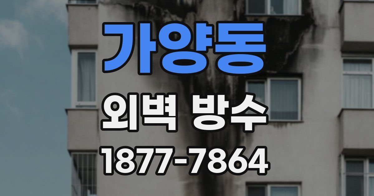 가양동 외벽 방수