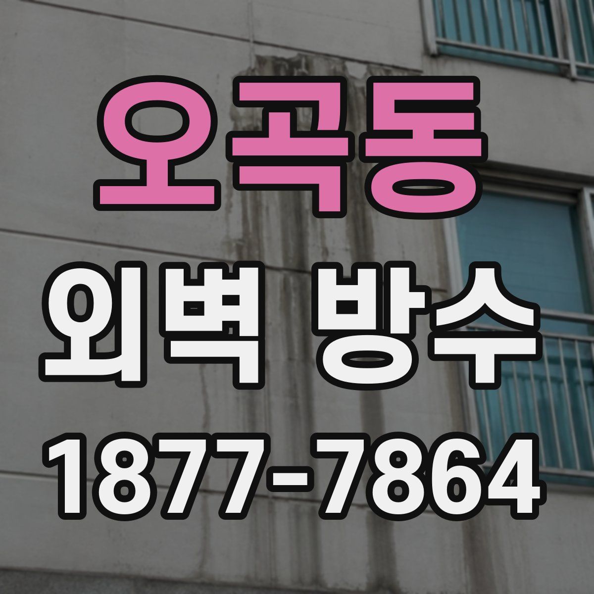 오곡동 외벽 방수