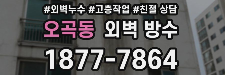 오곡동 외벽 방수