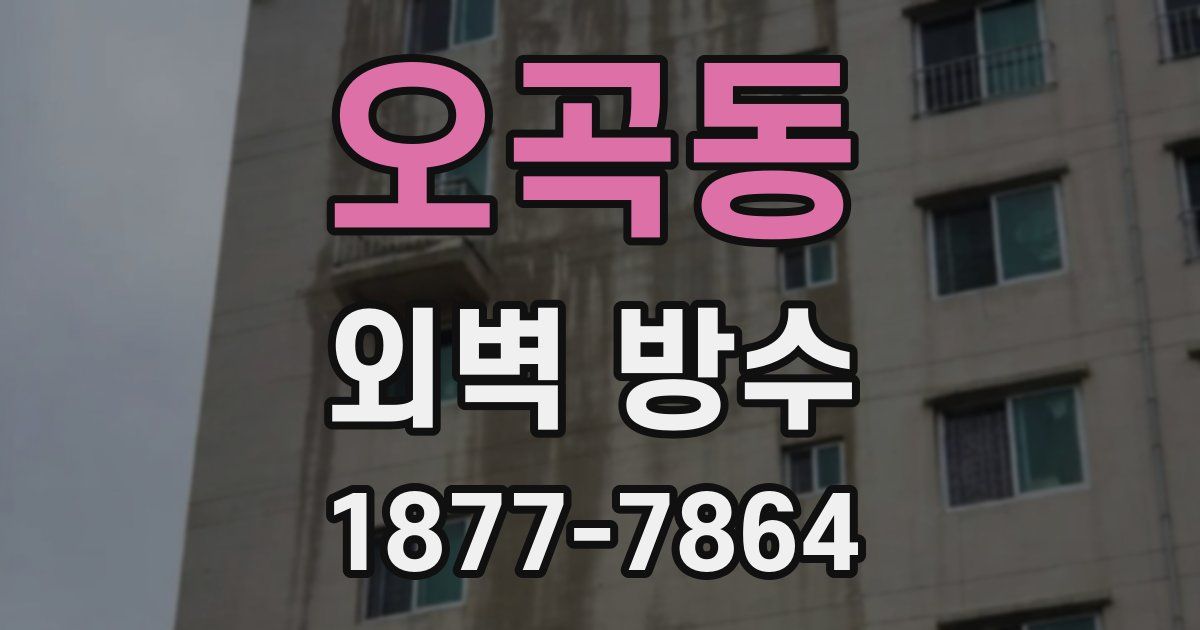 오곡동 외벽 방수