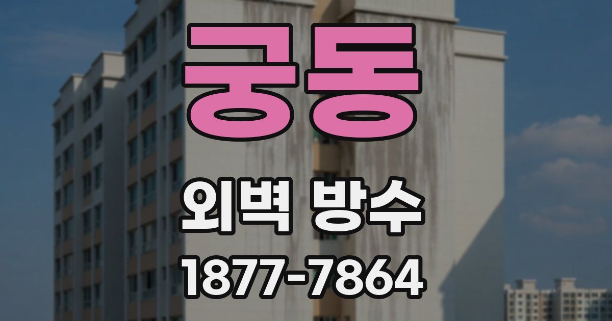 궁동 외벽 방수