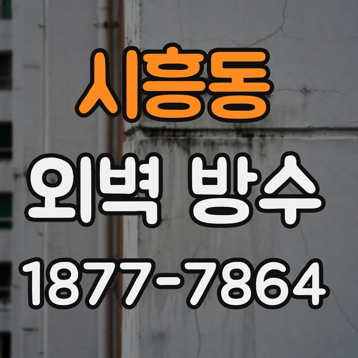 시흥동 외벽 방수