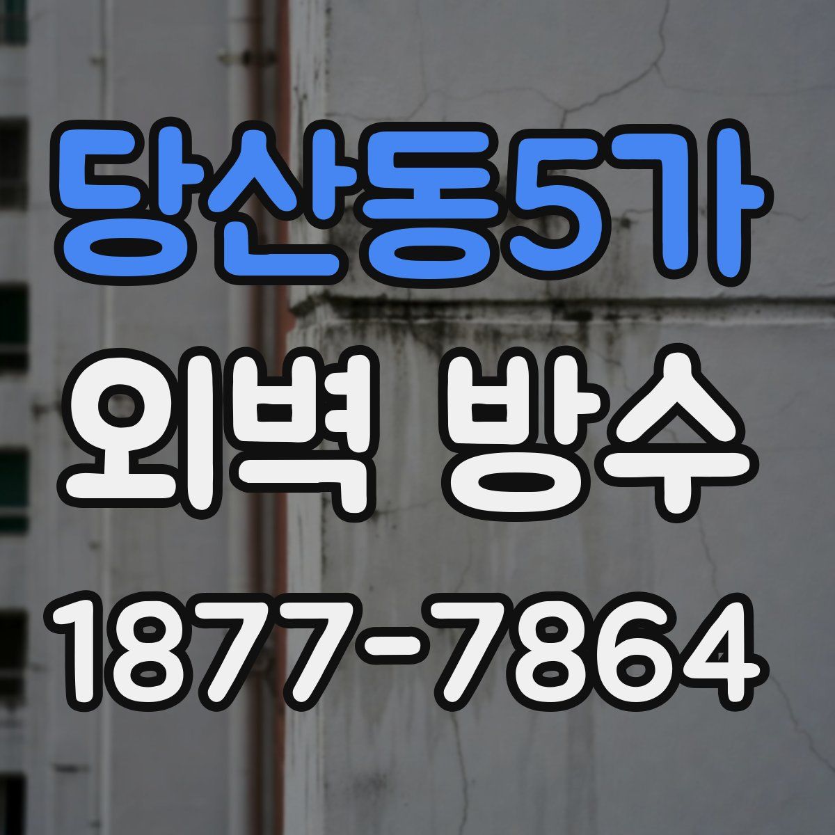 당산동5가 외벽 방수