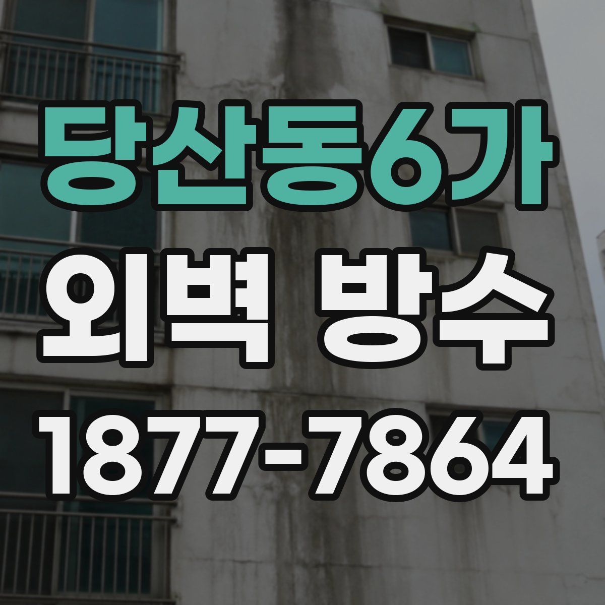 당산동6가 외벽 방수