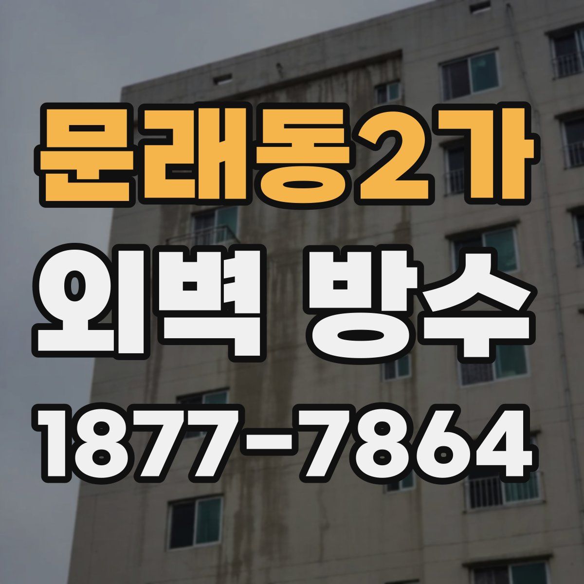 문래동2가 외벽 방수